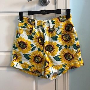 American Apparel Sunflower Shorts